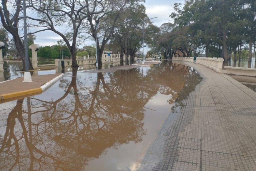 Imagen adicional